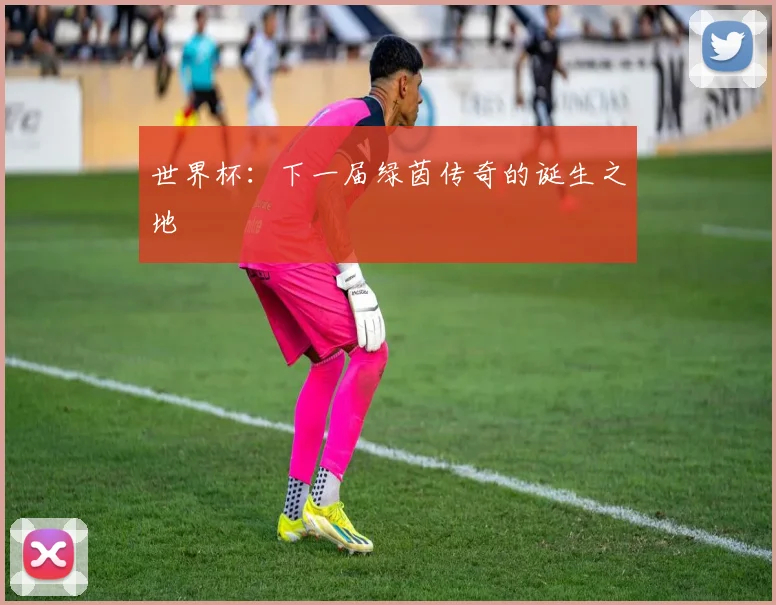 世界杯：下一届绿茵传奇的诞生之地
