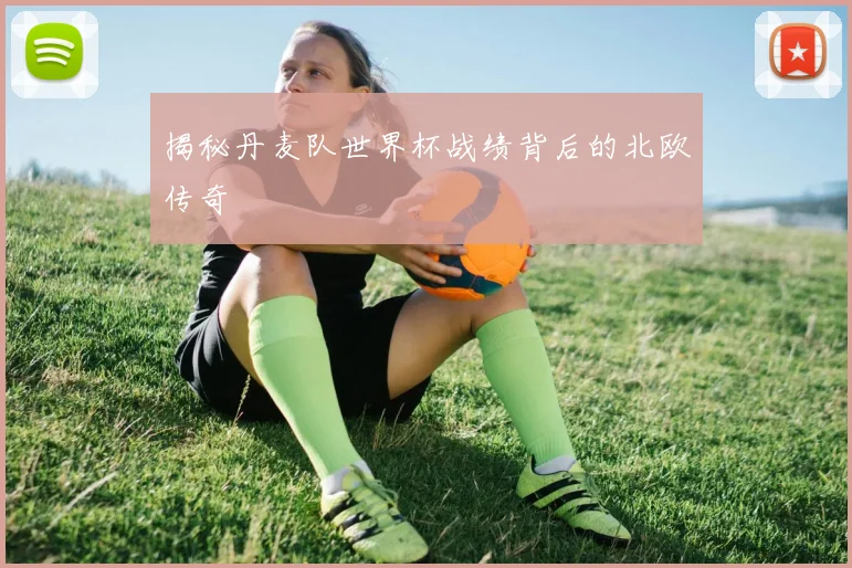 揭秘丹麦队世界杯战绩背后的北欧传奇