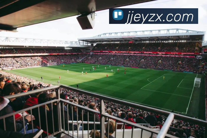 mksports在线登录入口平台生态图